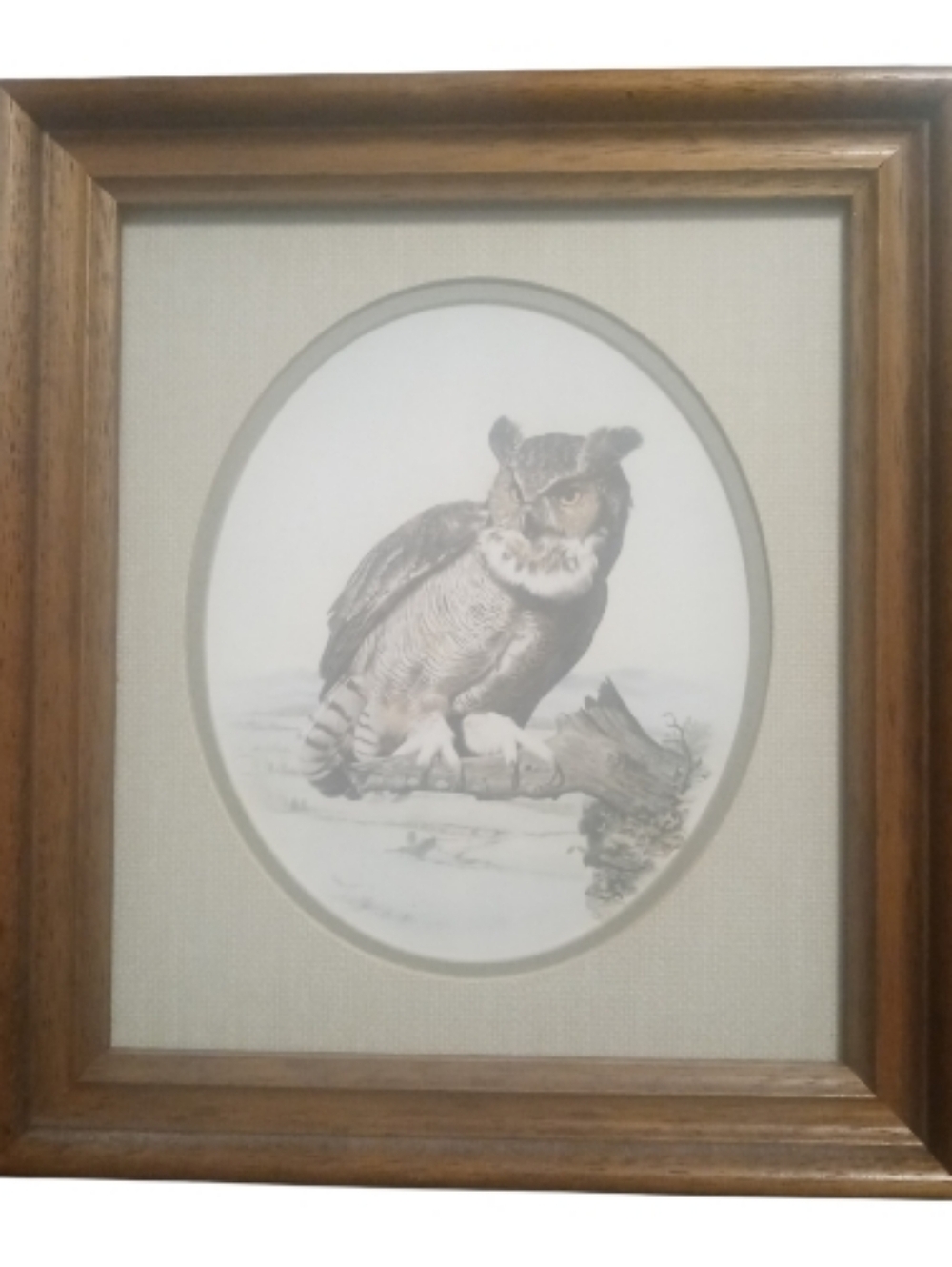 E. Howard Burger THE LOOKOUT Owl Tennessee Limited Edition Art Print